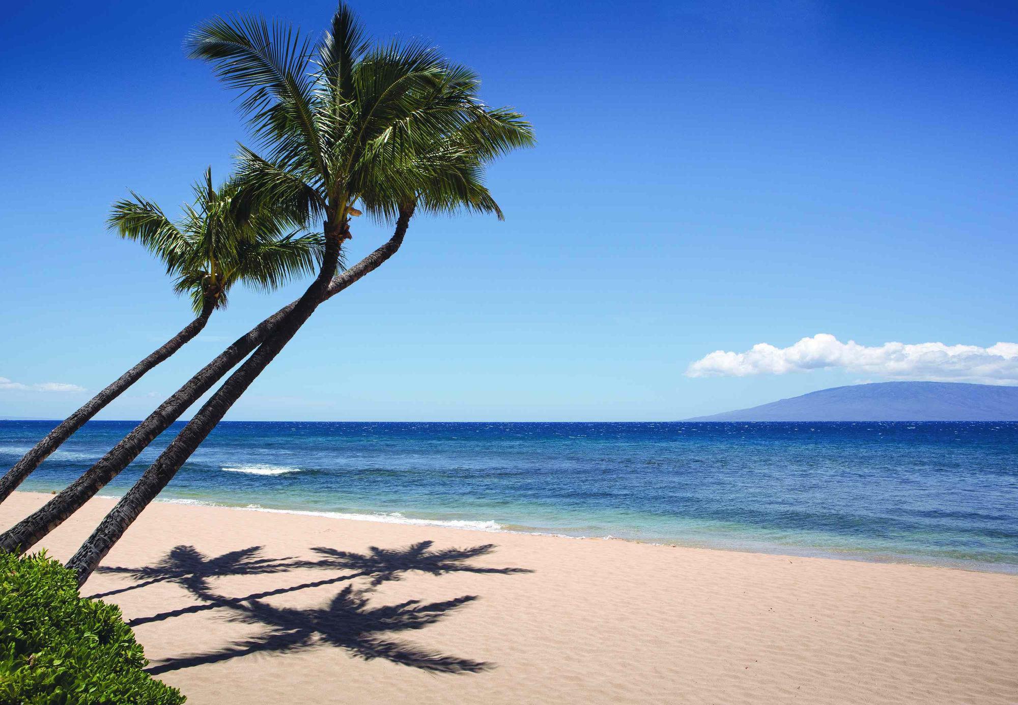 מלון להיינה Marriott'S Maui Ocean Club - Molokai, Maui & Lanai Towers מראה חיצוני תמונה
