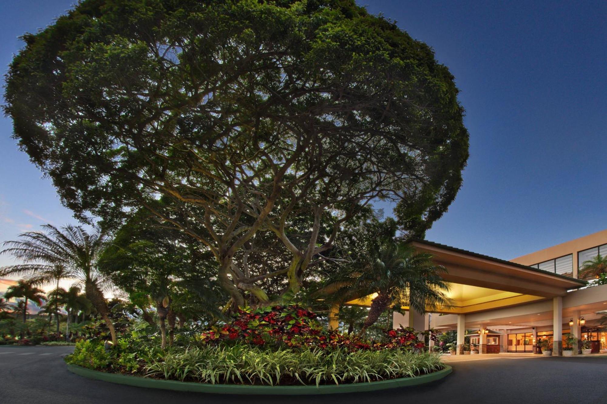 מלון להיינה Marriott'S Maui Ocean Club - Molokai, Maui & Lanai Towers מראה חיצוני תמונה